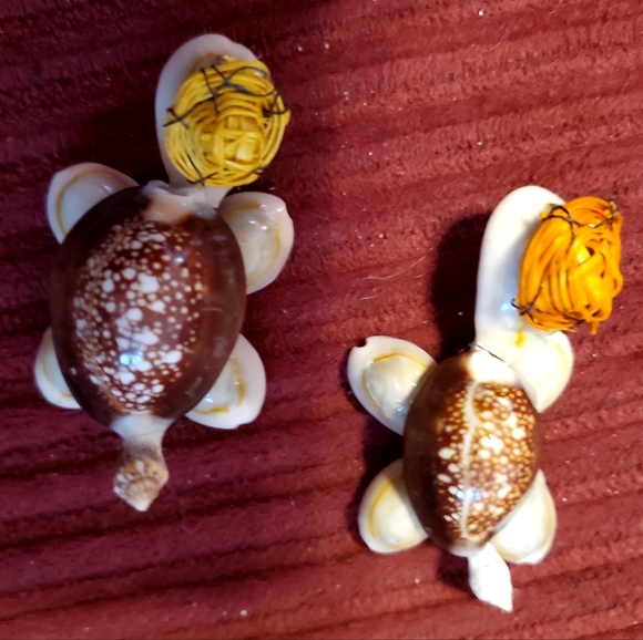 Qyiloy Cartoon Tortoise Set of 2 - Naturel shells  Handmade - Picture 4 of 6